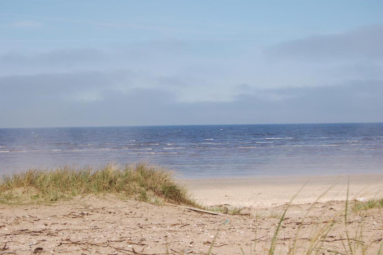 Båstad المظهر الخارجي الصورة