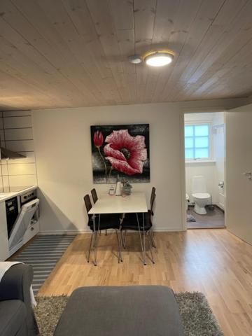Båstad المظهر الخارجي الصورة