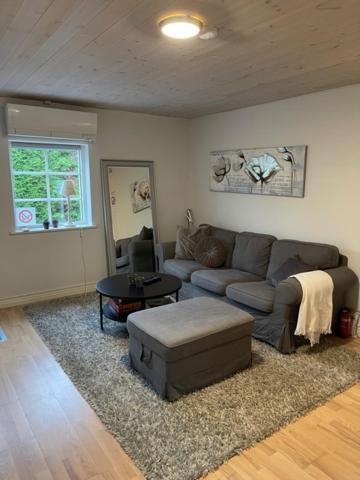 Båstad المظهر الخارجي الصورة